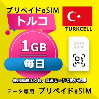 トルコ 毎日 1GB
